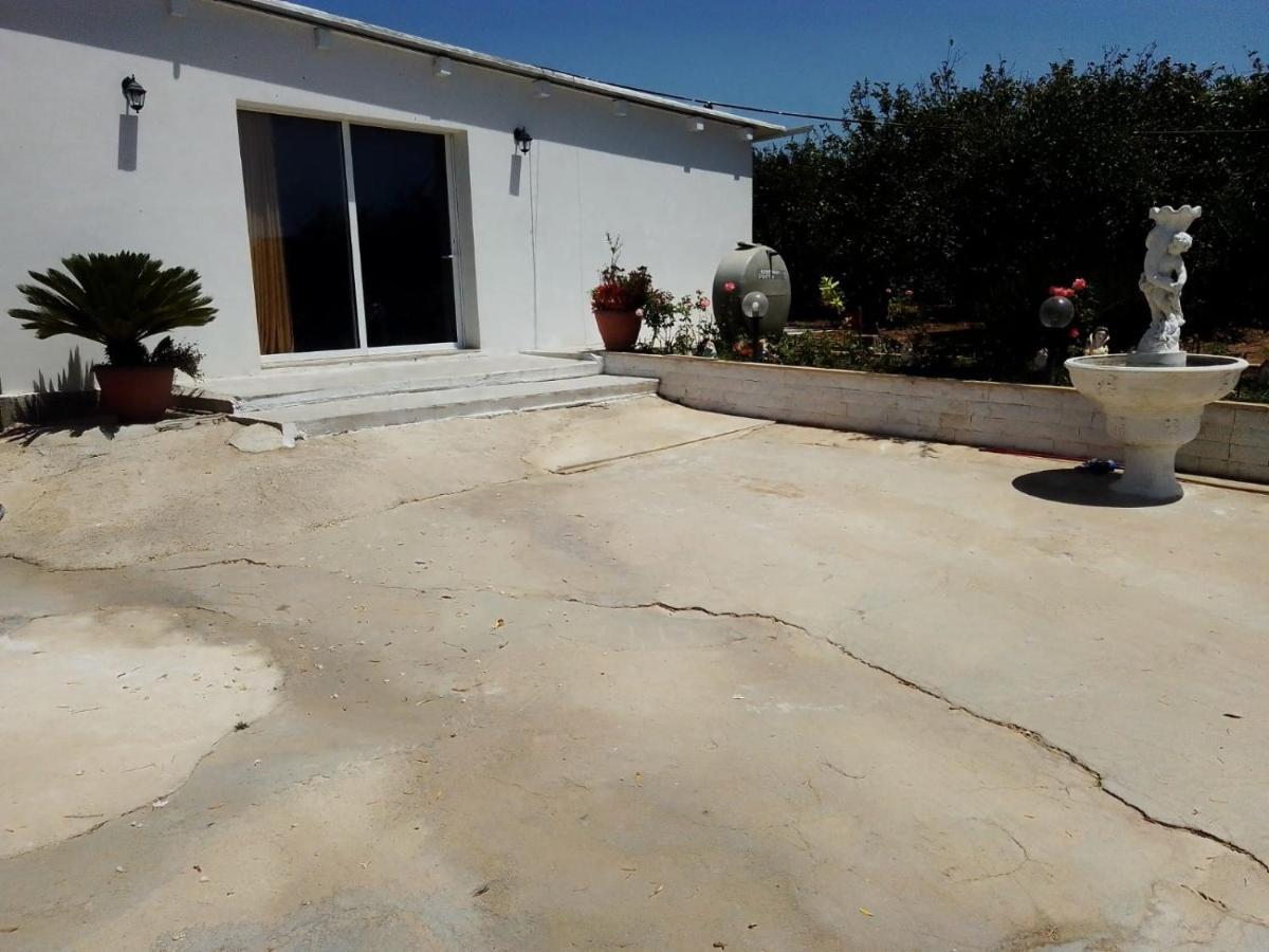 Appartamento Casa Nell'agrumeto Con Piscina *